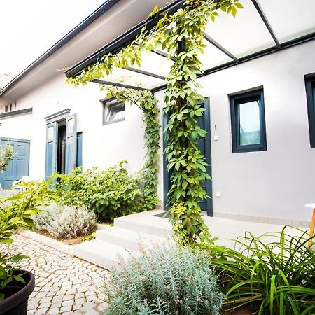 Apartmani Sterija Novi Sad Eksteriør bilde